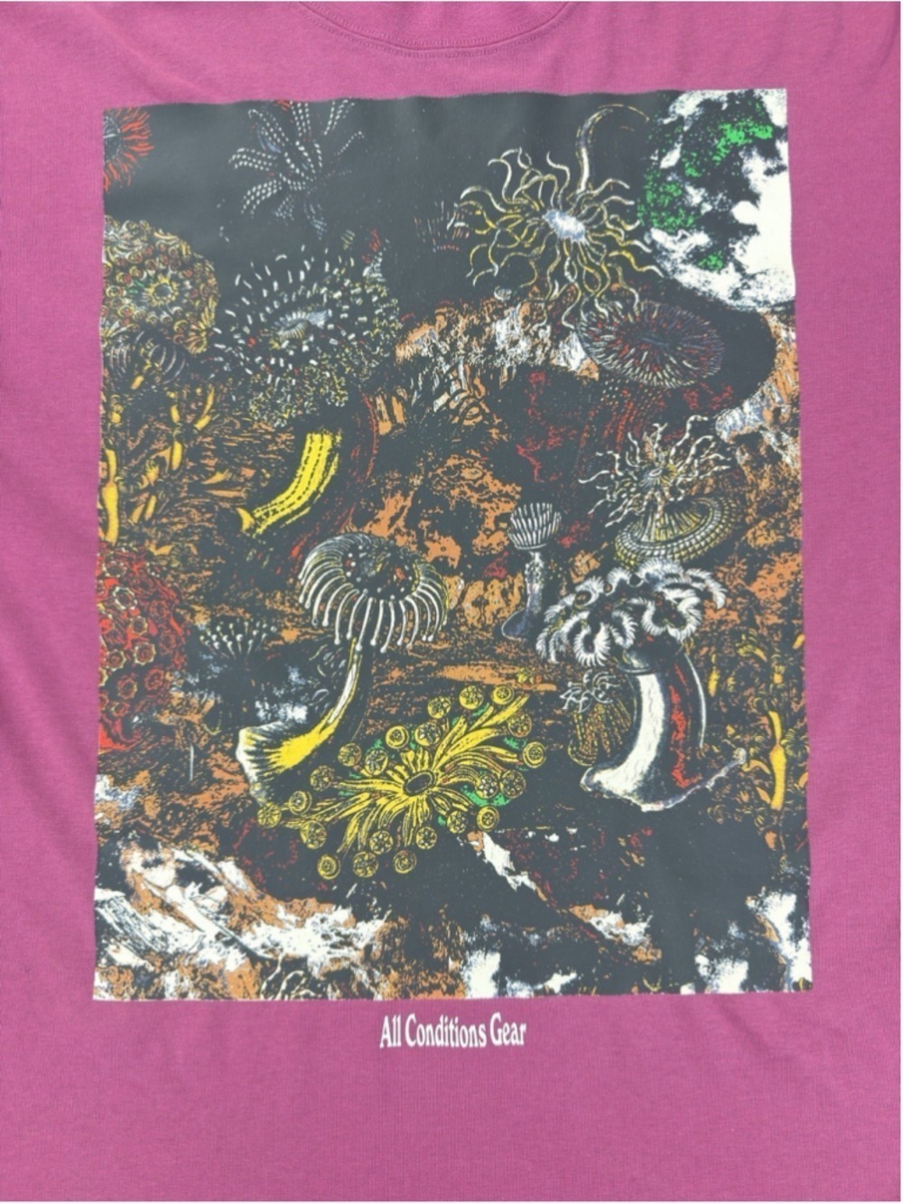 Nike ACG Tide Pool Graphic T-Shirt Men's Extra Small Short Sleeve - Picture 3 of 13